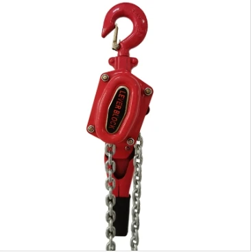 crane scale 1000kg