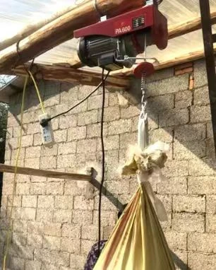 electric hoist 220v