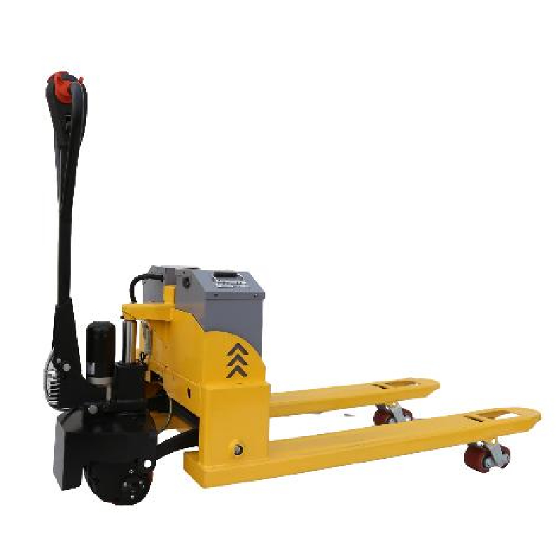 dynamometer crane scale