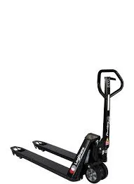compact electric hoist
